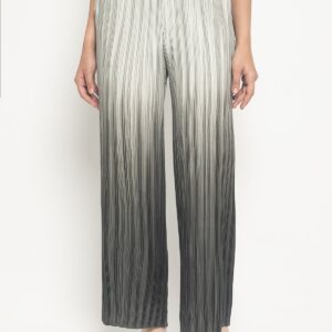 Pleated Pants in Grey