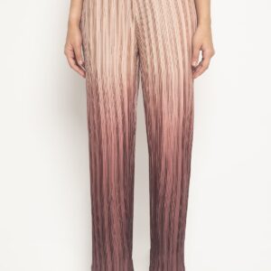 Pleated Pants in Maroon